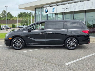 2024 Honda Odyssey Elite