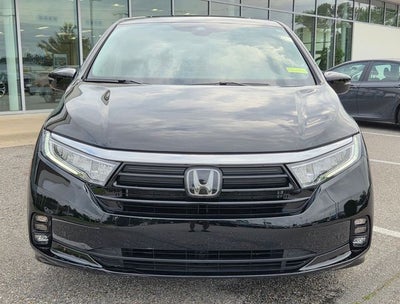 2024 Honda Odyssey Elite