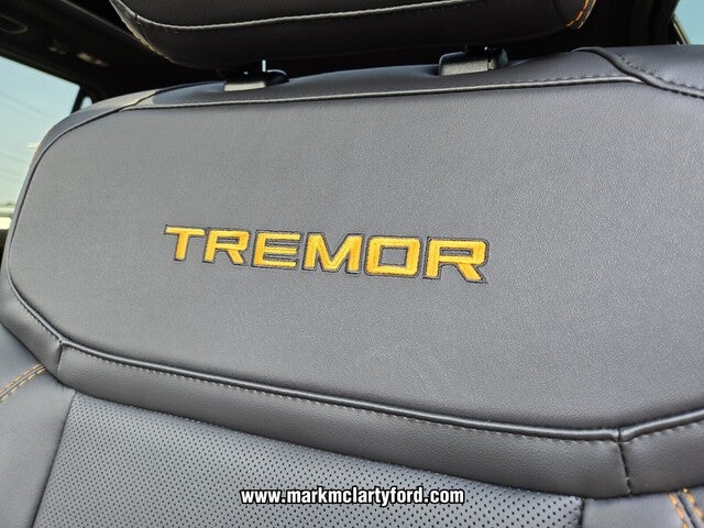 2025 Ford Expedition Tremor