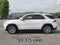 2020 Mercedes-Benz GLE GLE 350