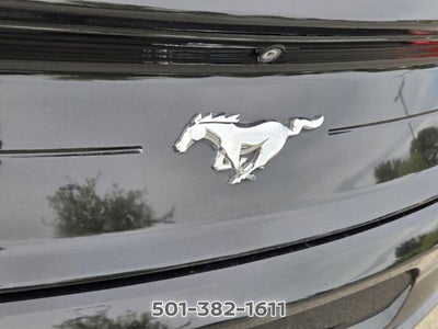 2021 Ford Mustang EcoBoost